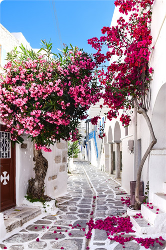 Cyclades