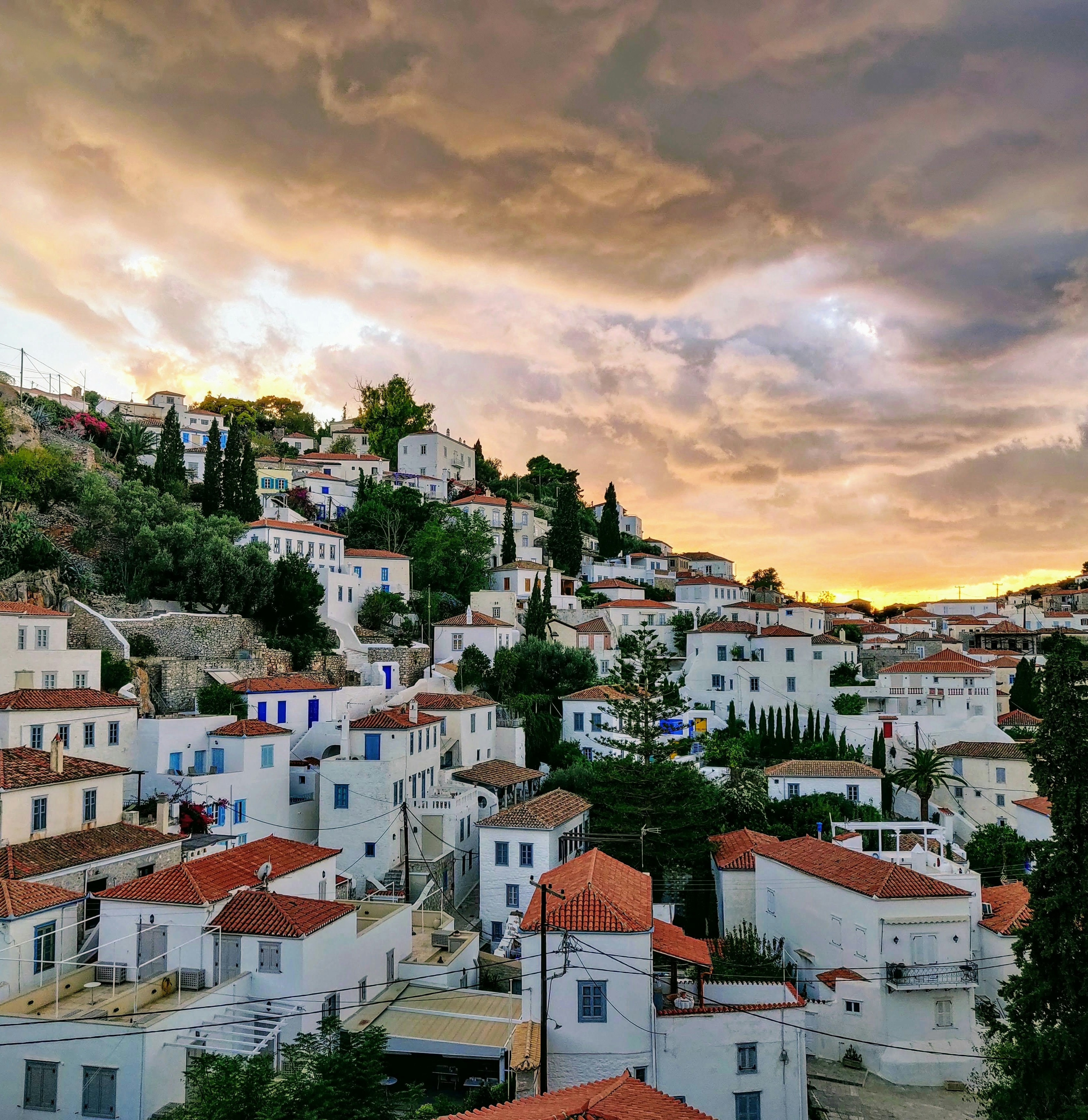 Hydra 24hours